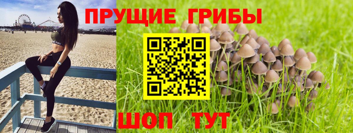 Канабис  Новороссийск  Меф МЯУ МЯУ кристаллы  Вход с VPN  Каннабис  Кокаин 