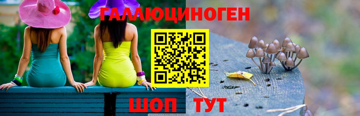 Галлюциногенные грибы мухоморы  дарнет шоп  Псилоцибиновые грибы MAGIC MUSHROOMS  Новороссийск  Вход с VPN 